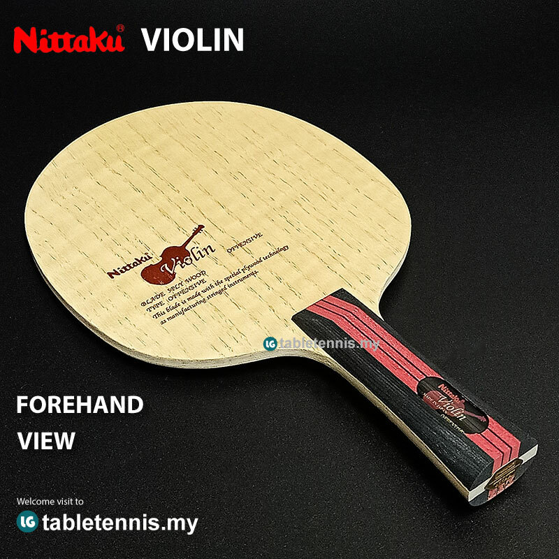 NIttaku-Violin-P2.jpg