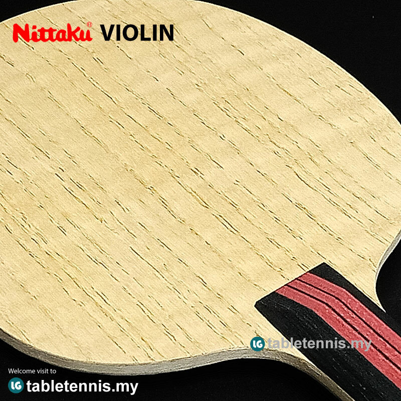 NIttaku-Violin-P5.jpg