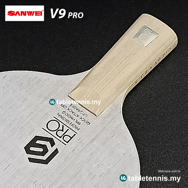 Sanwei-V9-Pro-CS-P6