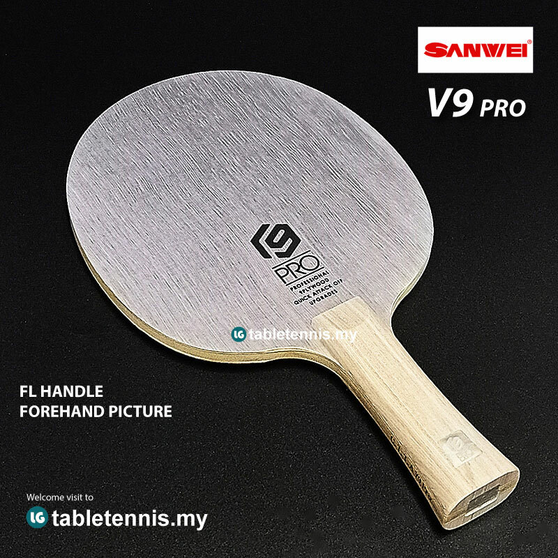 Sanwei-V9-Pro-FL-P2