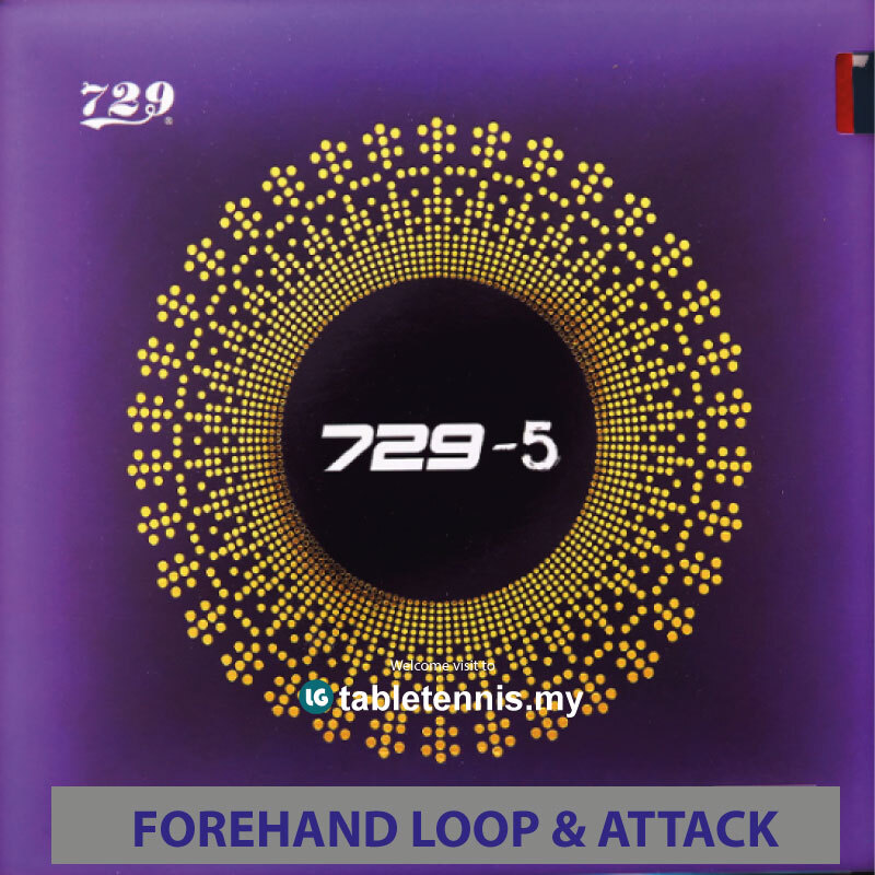 729-5-+-focus-3-P2