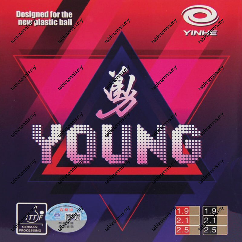 Young-Standard-P4