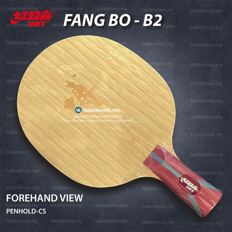 DHS-Fang-Bo-B2-CS-P1