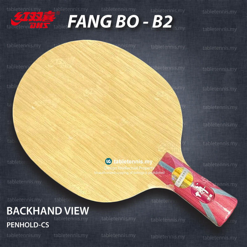 DHS-Fang-Bo-B2-CS-P2