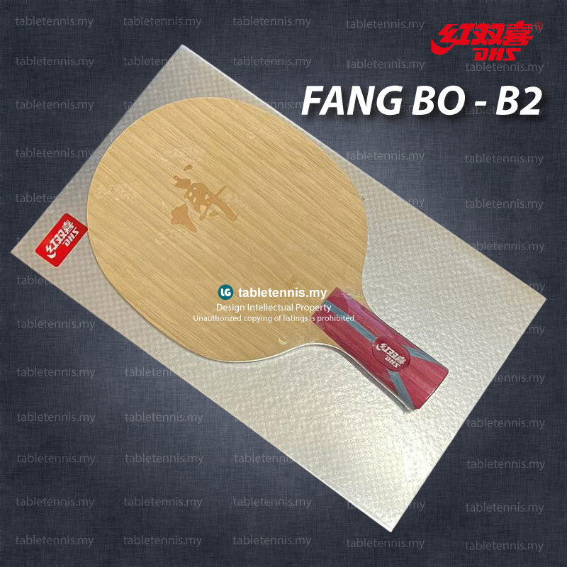 DHS-Fang-Bo-B2-CS-P7