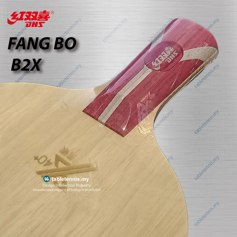 DHS-Fang-Bo-B2x-CS-P5