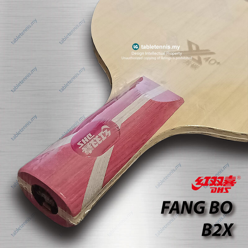 DHS-Fang-Bo-B2x-CS-P6
