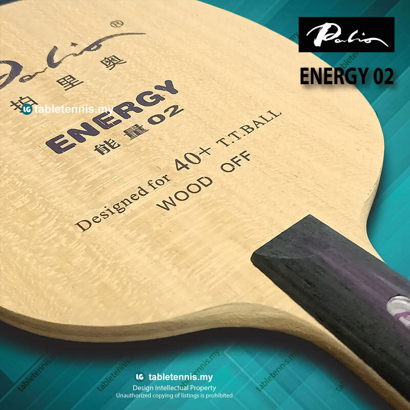 Palio-Energy-02-FL-P3