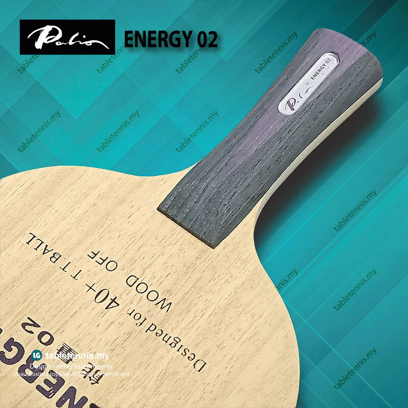 Palio-Energy-02-FL-P5