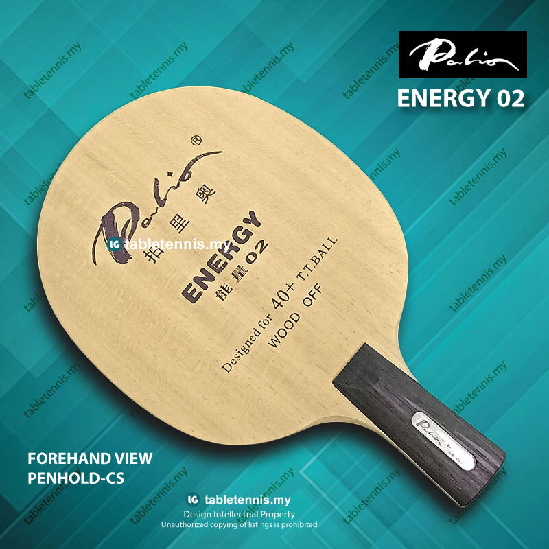 Palio-Energy-02-CS-P1