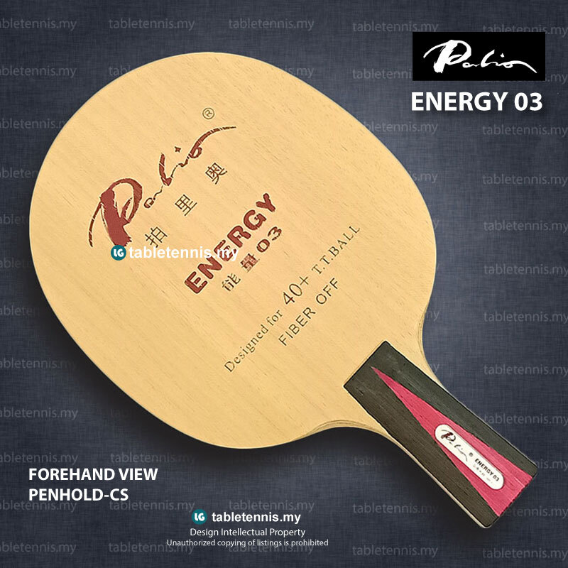 Palio-Energy-03-CS-P1