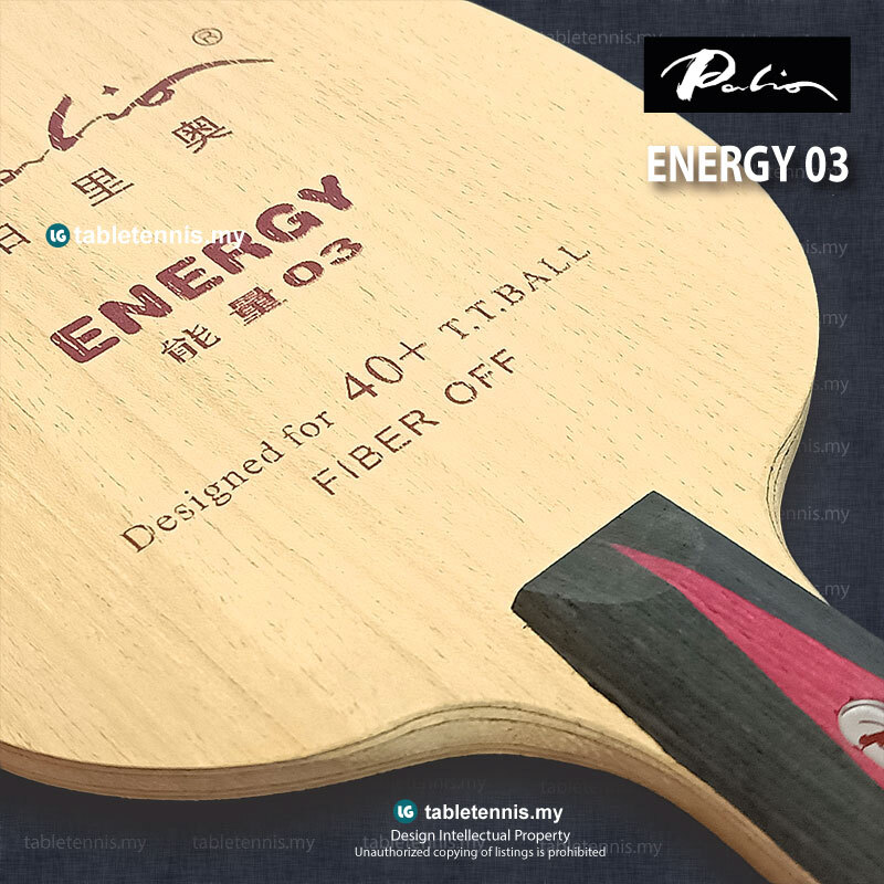 Palio-Energy-03-CS-P3