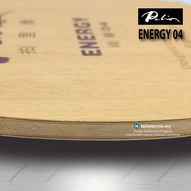 Palio-Energy-04-FL-P4