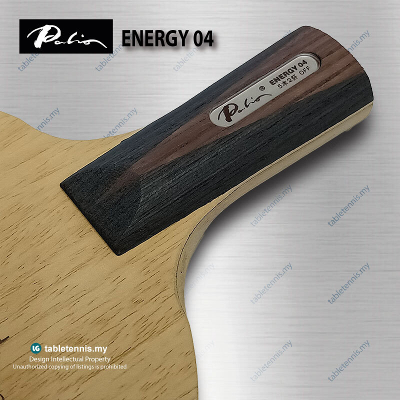 Palio-Energy-04-CS-P5