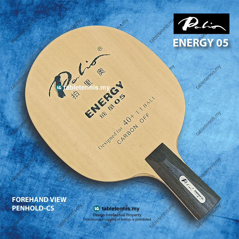 Palio-Energy-05-CS-P1