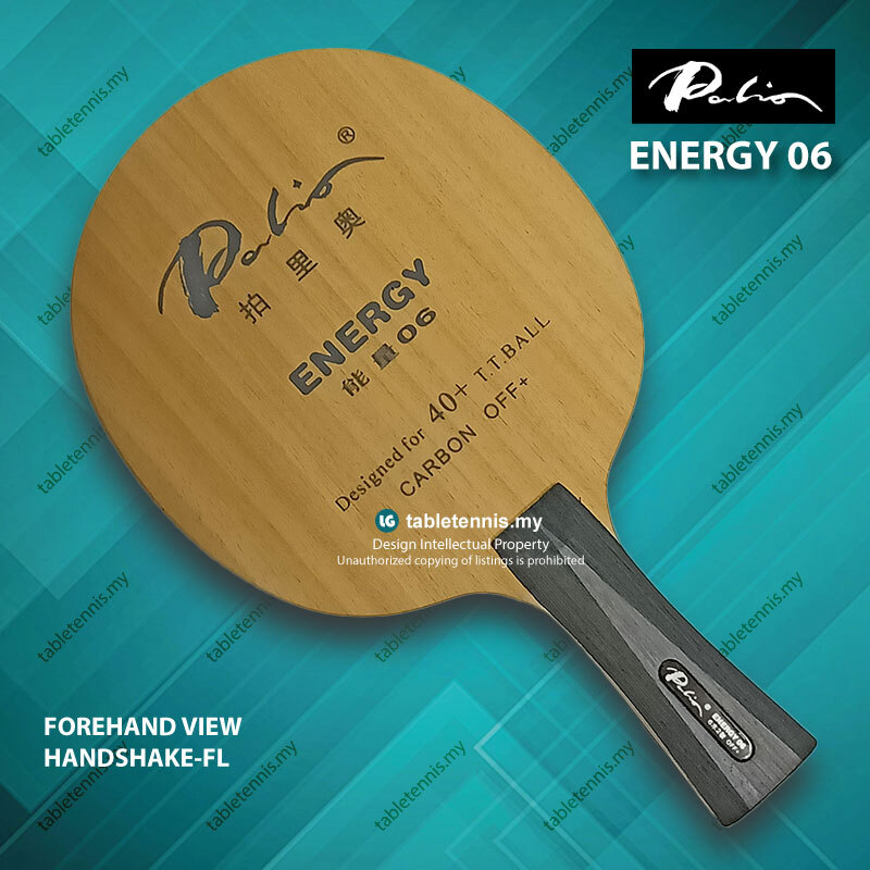 Palio-Energy-06-FL-P2