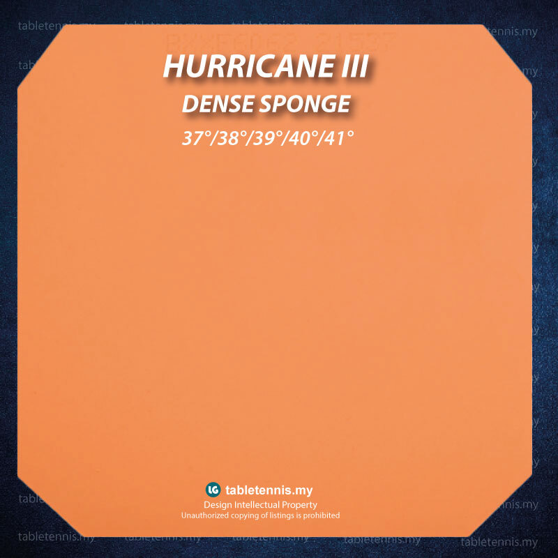 DHS-Hurricane-3-P7