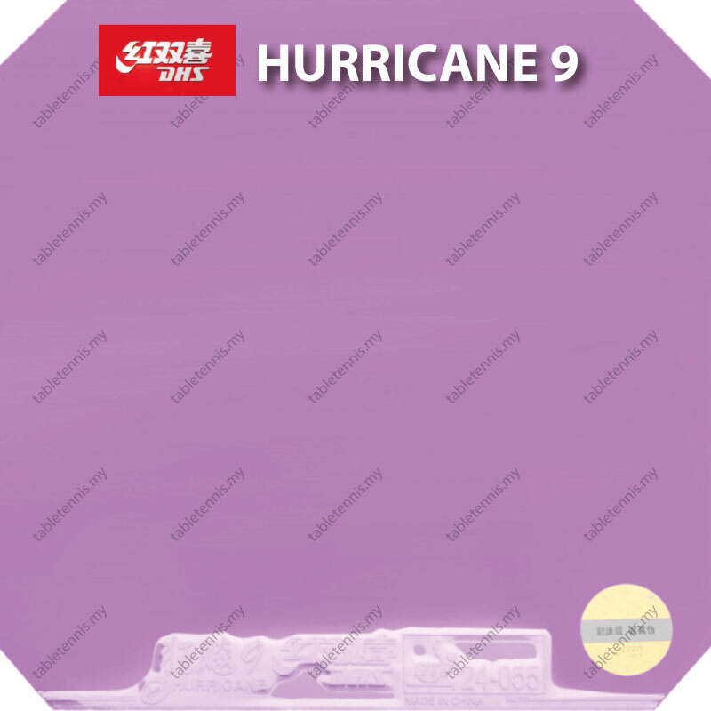 DHS-Hurricane-9-P13