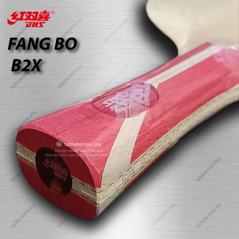 DHS-Fang-Bo-B2x-FL-P6