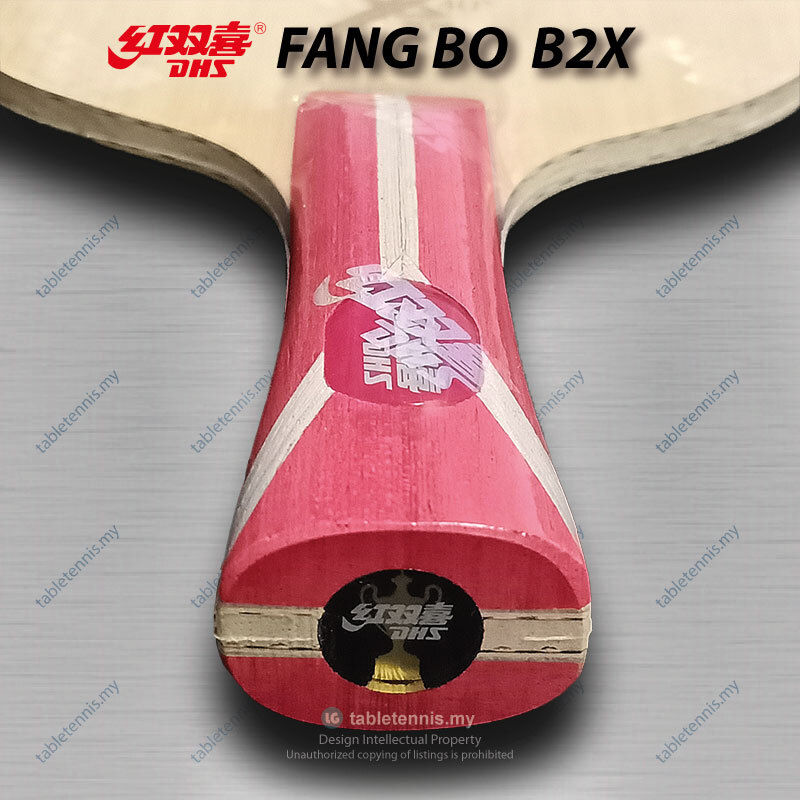 DHS-Fang-Bo-B2x-FL-P8