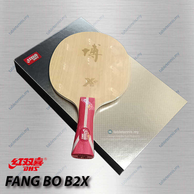 DHS-Fang-Bo-B2x-FL-P9