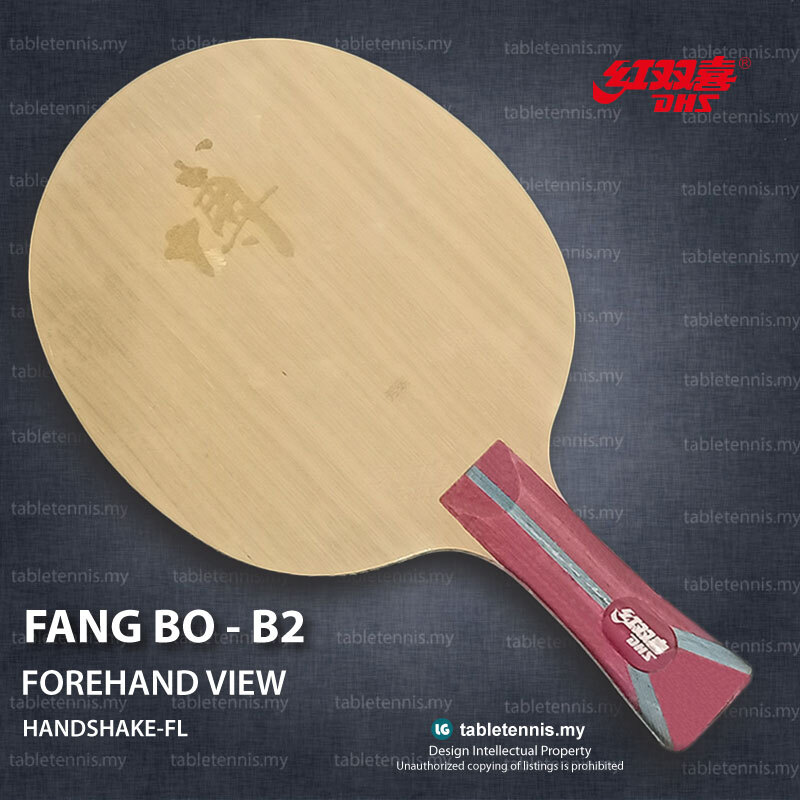 DHS-Fang-Bo-B2-FL-P1