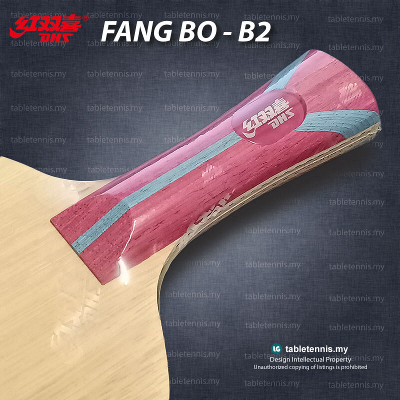 DHS-Fang-Bo-B2-FL-P5