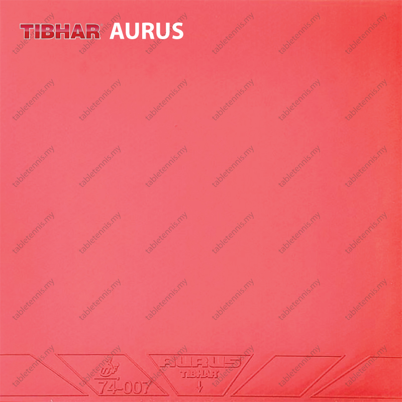 Tibhar-Aurus-P1