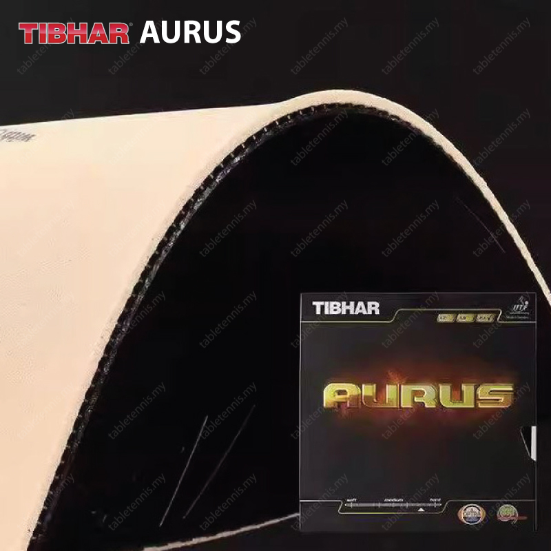Tibhar-Aurus-P5