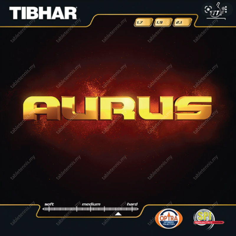 Tibhar-Aurus-P6