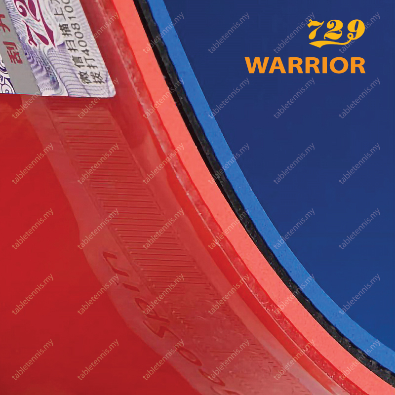 729-Warrior-P6