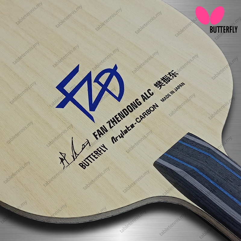 Butterfly-Fan-Zhendong-ALC-CS-P3