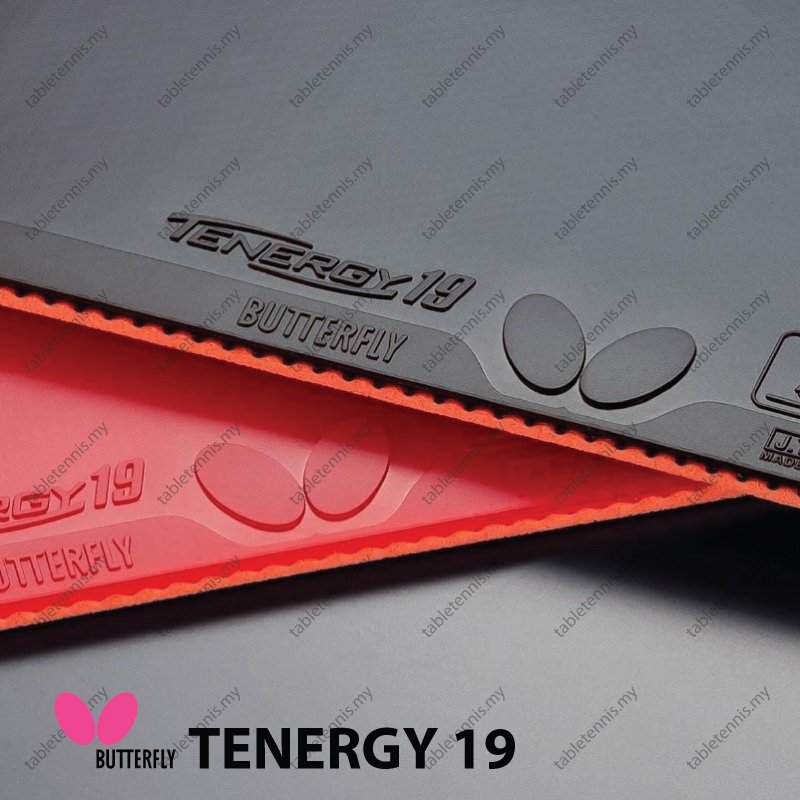 Butterfly-Tenergy-19-P2