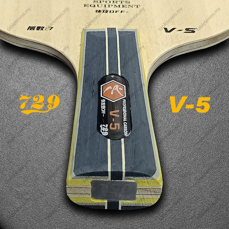 729-V-5-CS-P6