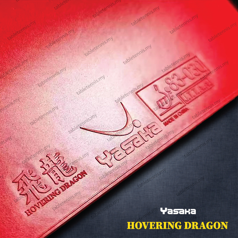 Yasaka-Hovering-Dragon-P2
