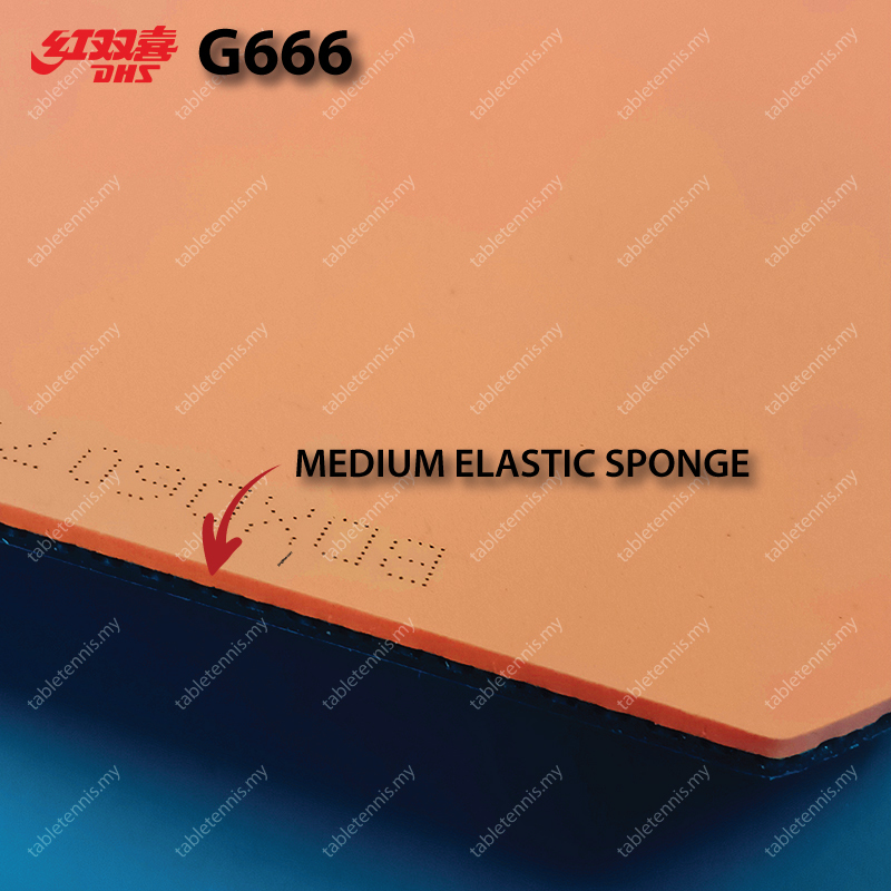 DHS-G666-P6