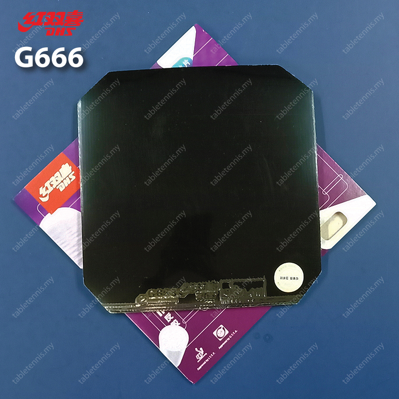 DHS-G666-P3