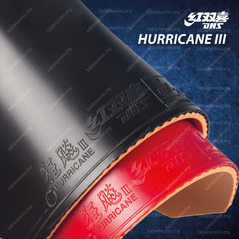 DHS-Hurricane-3-P3