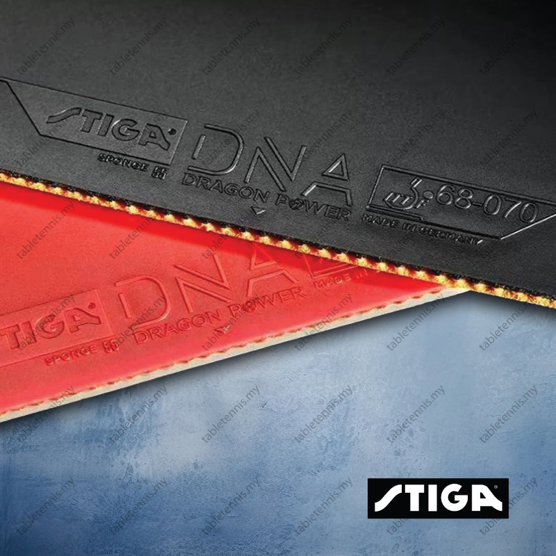 Stiga-DNA-Dragon-Power-52.5-P2