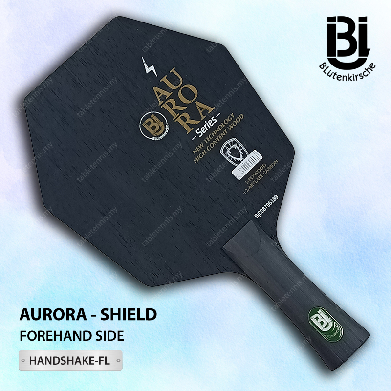 BJ-Aurora-P2