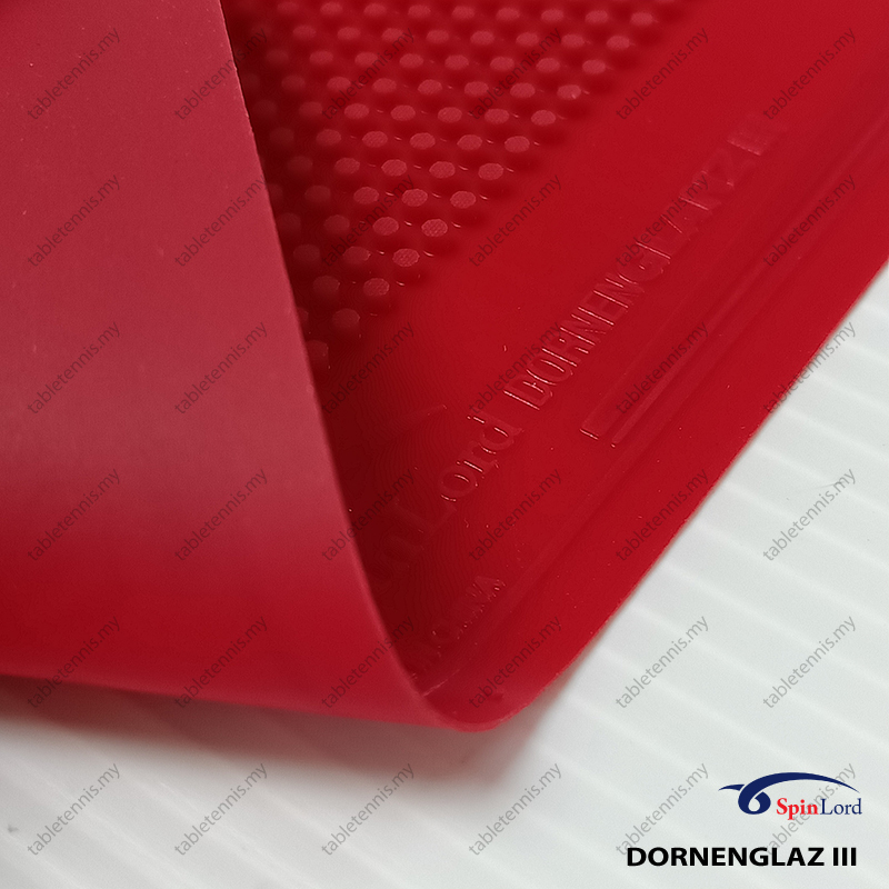 Dornenglanz-III-P8