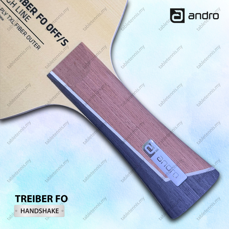 Andro-Treiber-FO-FL-P6