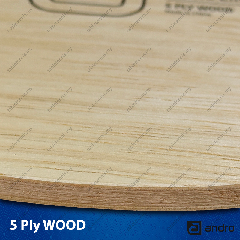 Andro-Timber-5-FL-P5