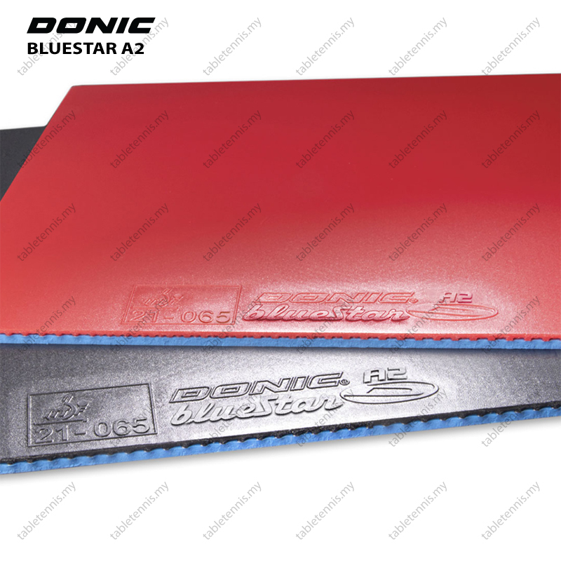 Donic-BlueStar-A2-P3
