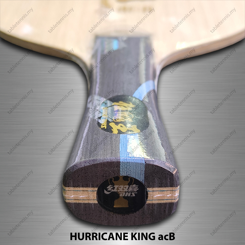 DHS-Hurricane-King-acB-FL-P7