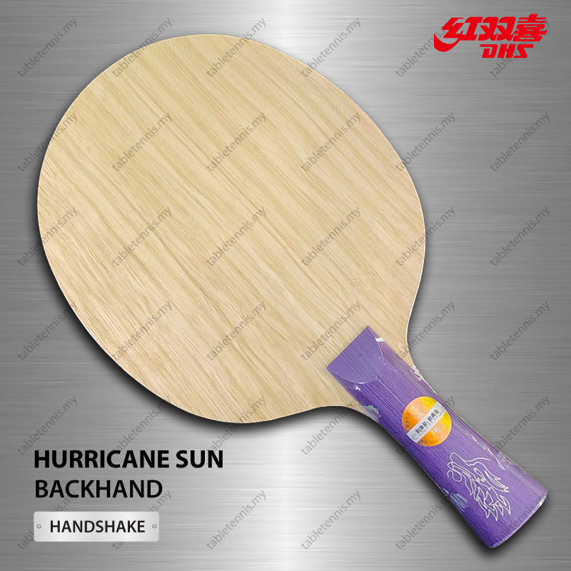 DHS-Hurricane-Sun-FL-P3