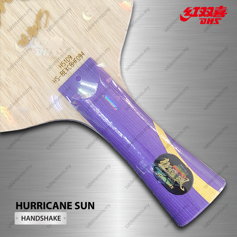 DHS-Hurricane-Sun-FL-P6