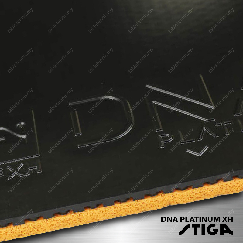 Stiga-DNA-Platinum-XH-P6