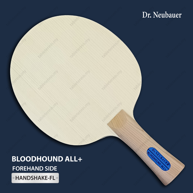 Bloodhound-All+-P2