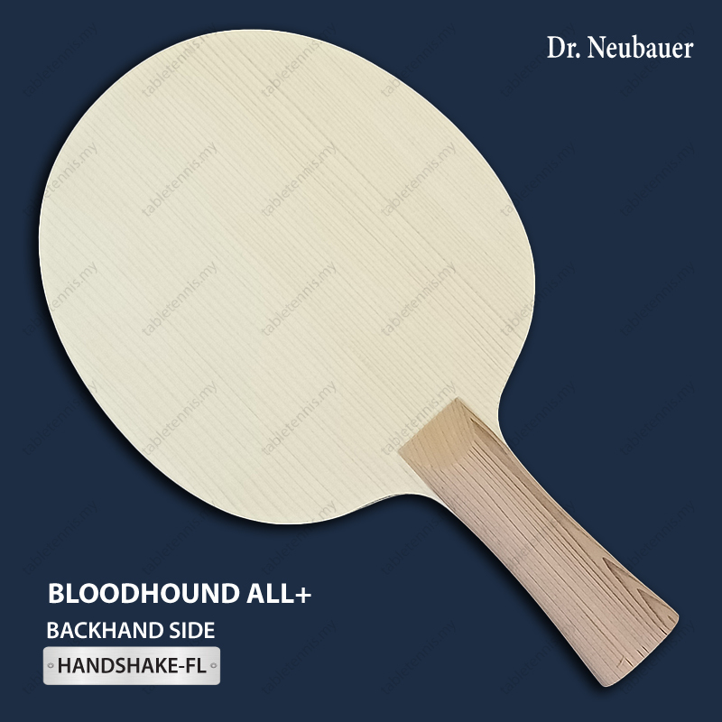 Bloodhound-All+-P3